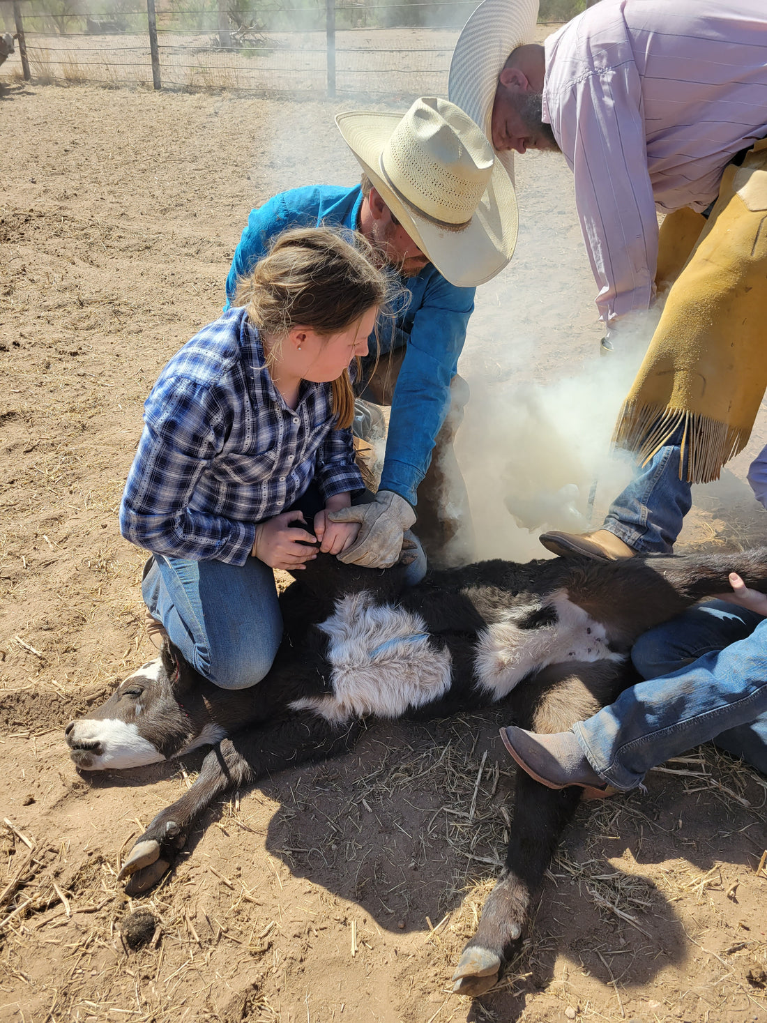 Branding Day Becomes a Ranch-Family Gathering